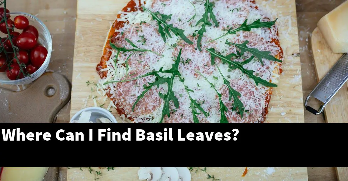 Where Can I Find Basil Leaves?