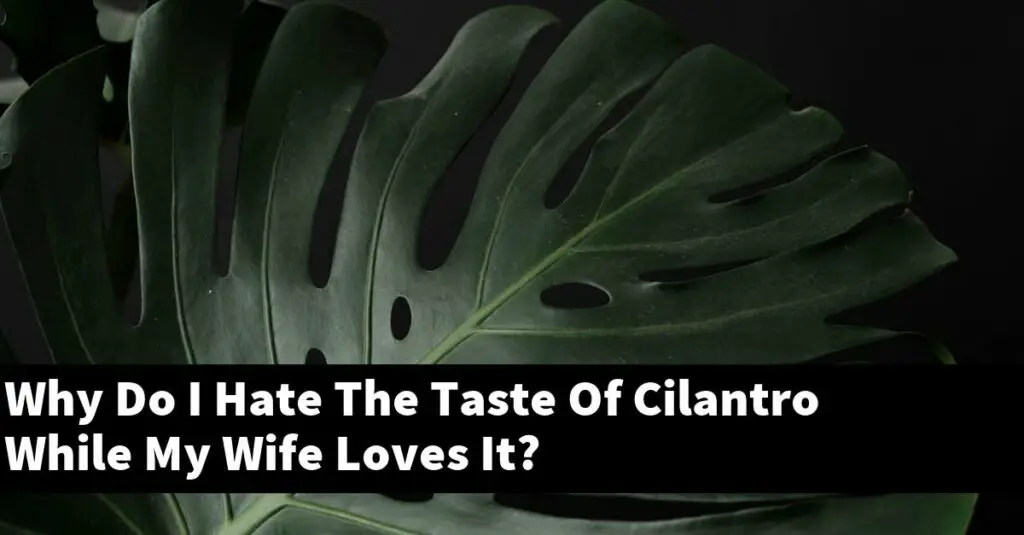 Why Do I Hate The Taste Of Cilantro While My Wife Loves It? Outdoor