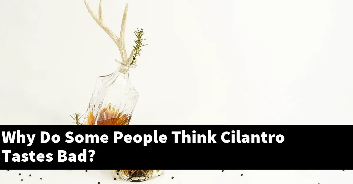 Why Do Some People Think Cilantro Tastes Bad?