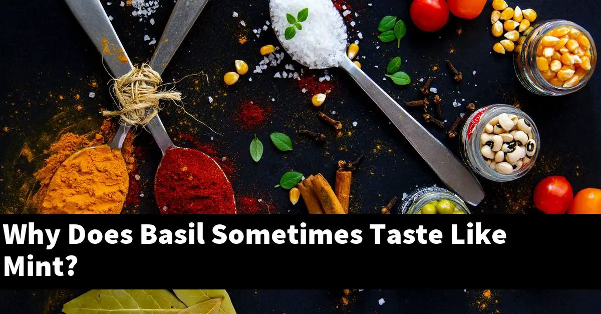 Why Does Basil Sometimes Taste Like Mint?