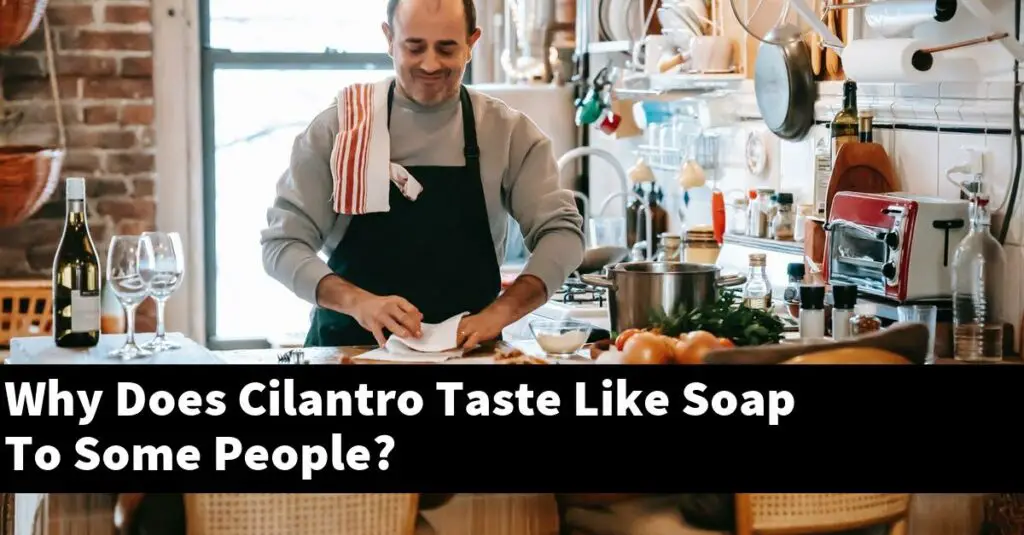 Why Does Cilantro Taste Like Soap To Some People? Outdoor Herb Garden