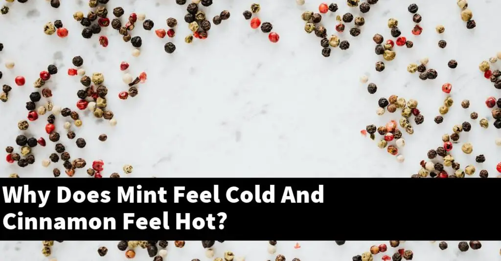 why-does-mint-feel-cold-and-cinnamon-feel-hot-outdoor-herb-garden