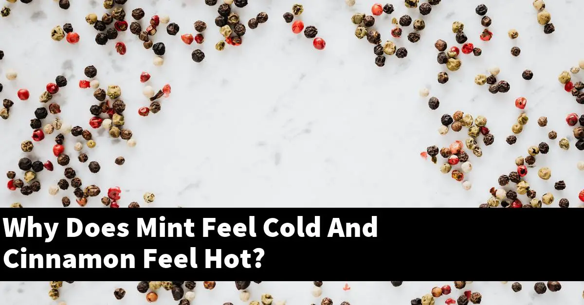 Why Does Mint Feel Cold And Cinnamon Feel Hot?