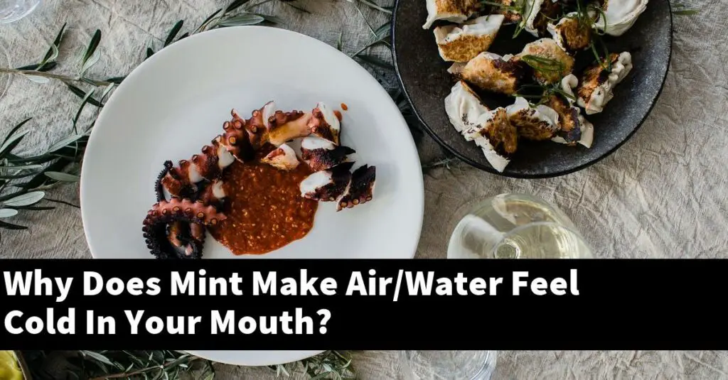 why-does-mint-make-air-water-feel-cold-in-your-mouth-outdoor-herb-garden