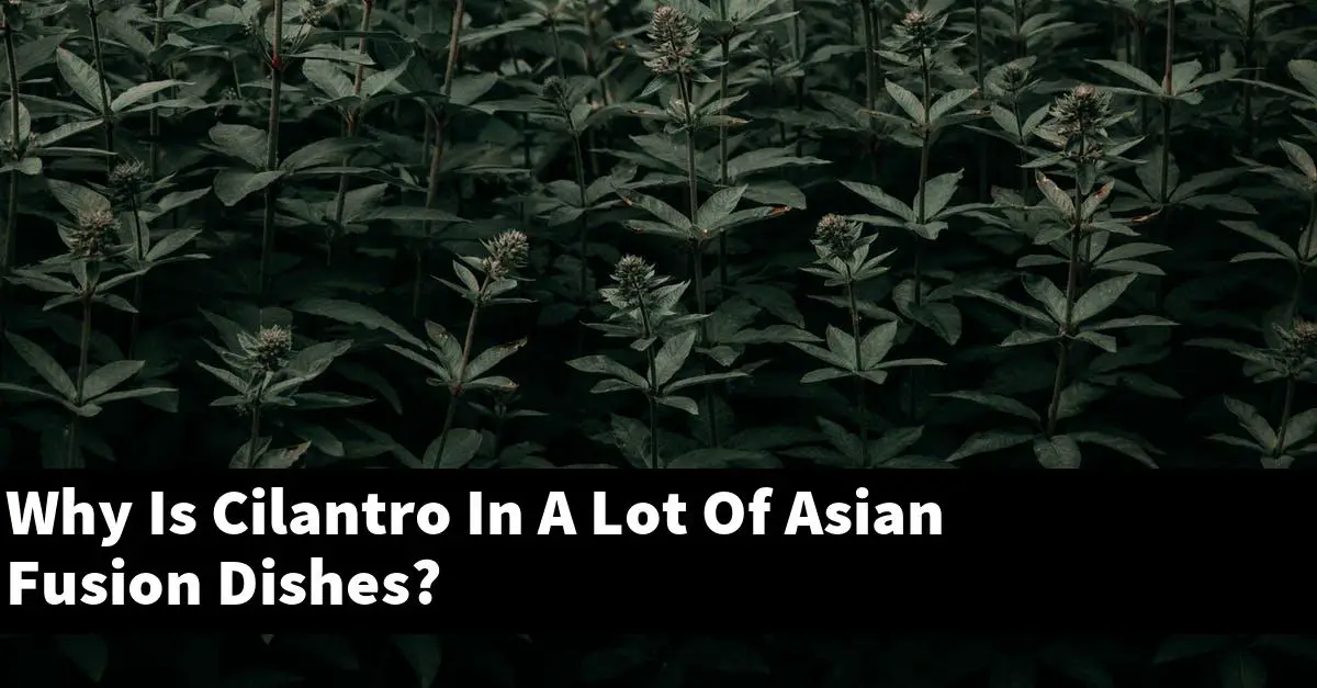 Why Is Cilantro In A Lot Of Asian Fusion Dishes?