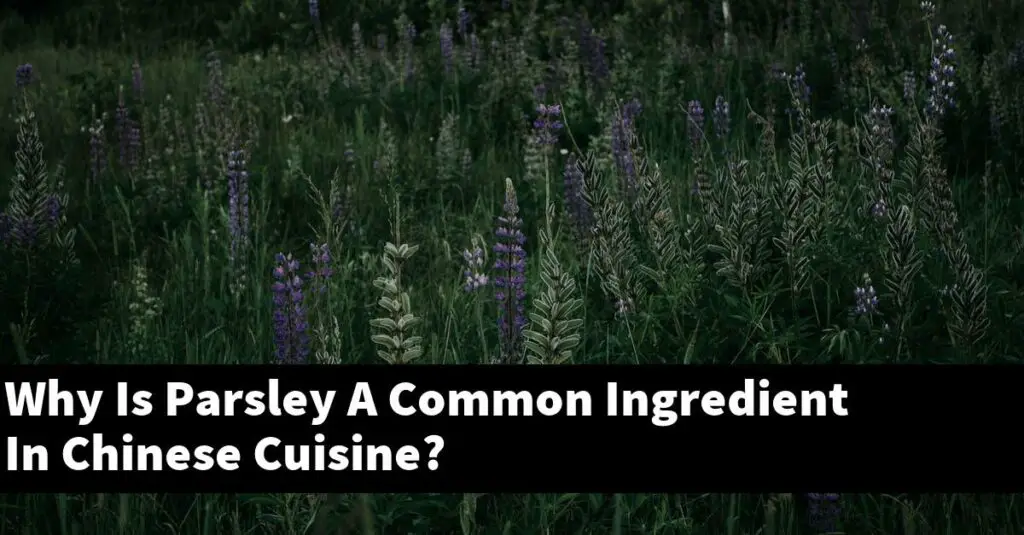 Why Is Parsley A Common Ingredient In Chinese Cuisine? Outdoor Herb