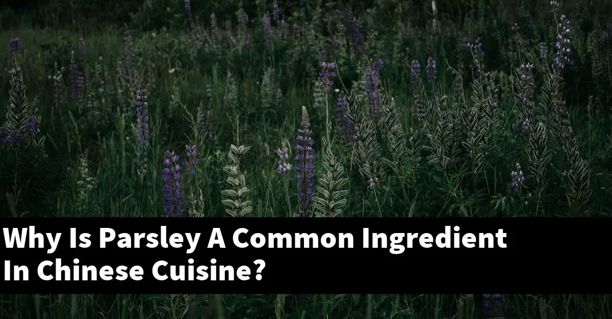 Why Is Parsley A Common Ingredient In Chinese Cuisine?