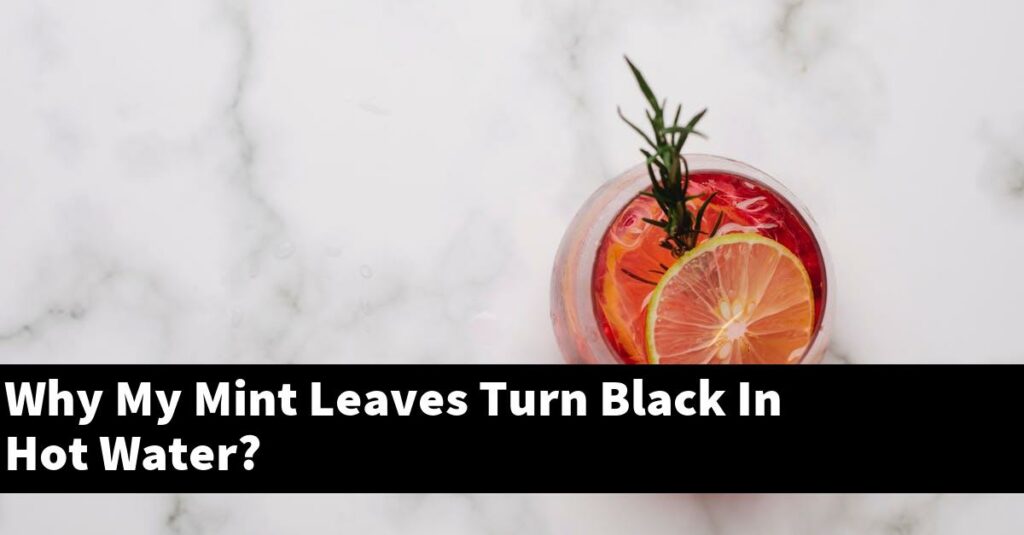 Why My Mint Leaves Turn Black In Hot Water? Outdoor Herb Garden