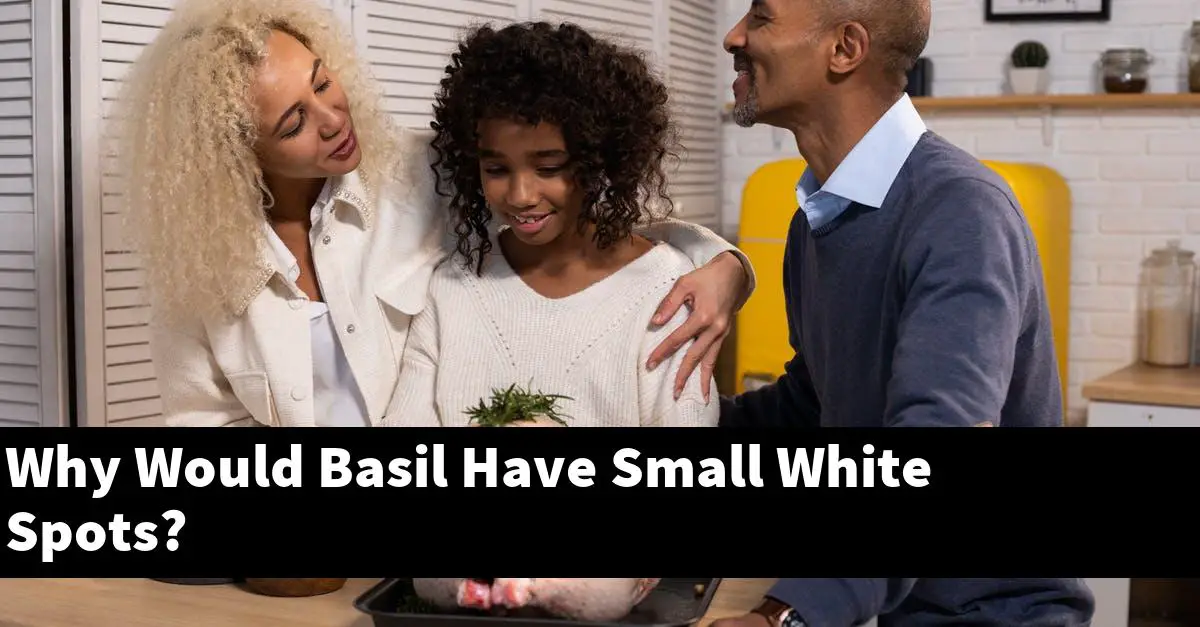 Why Would Basil Have Small White Spots?