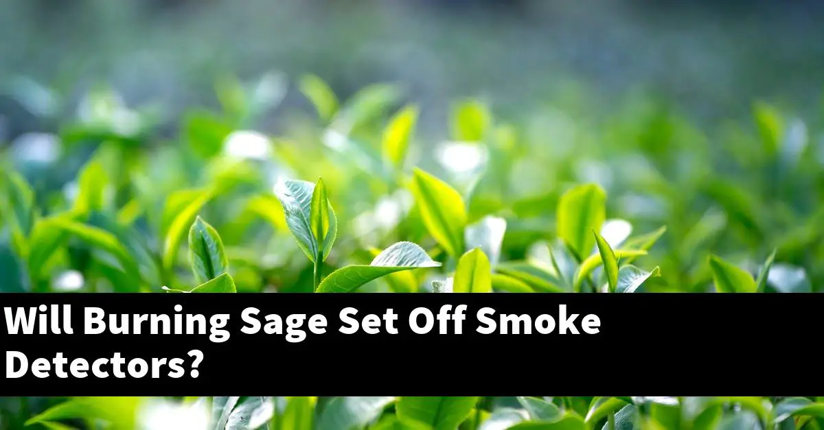 Will Burning Sage Set Off Smoke Detectors?